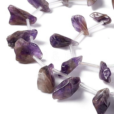 Natural Amethyst Beads Strands G-I329-02-1