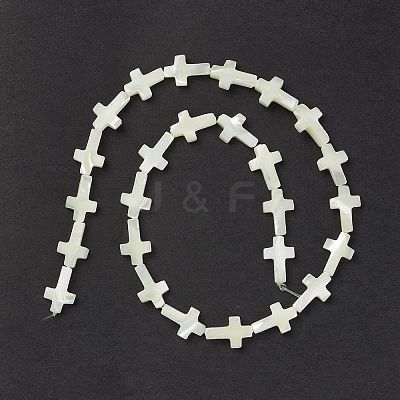 Natural Trochid Shell/Trochus Shell Beads Strands SSHEL-K027-04-1