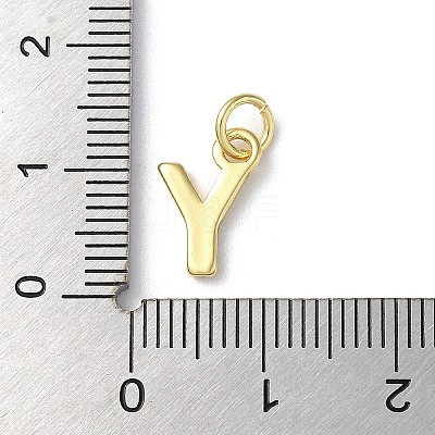 Rack Plating Brass Charms KK-P245-06G-Y-1