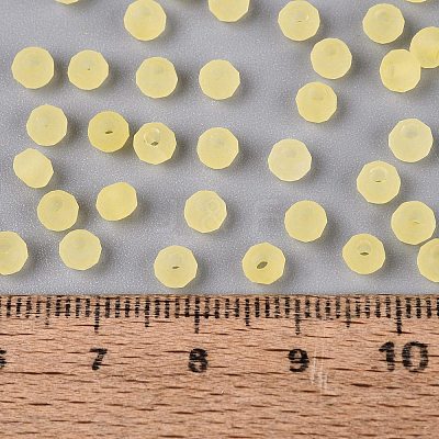 FGB Frosted Transparent Glass Seed Beads SEED-N013-04A-02-1