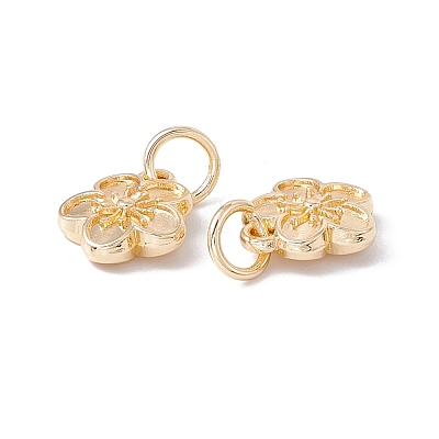 Rack Plating Alloy Charms FIND-G036-02LG-1
