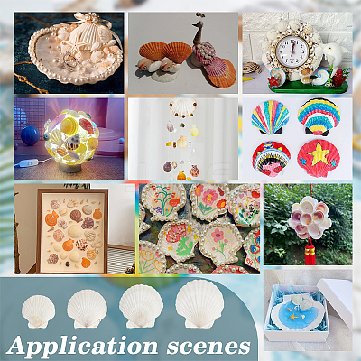 14Pcs 4 Styles Natural Shell Painting Accessories DIY-NB0012-05-1
