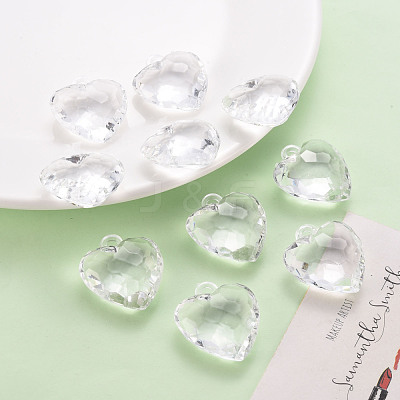 Transparent Acrylic Pendants TACR-T024-03B-205-1