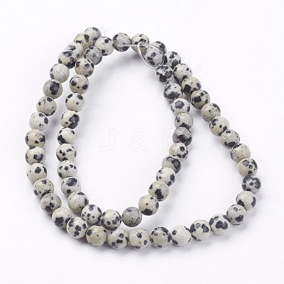 Natural Dalmatian Jasper Stone Bead Strands G-R193-14-6mm-1