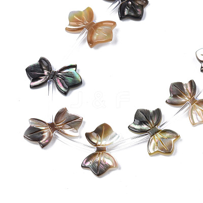Natural Black Lip Shell Beads Strands SSHEL-S278-123A-1