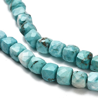 Dyed Natural Howlite Beads Strands G-H078-C28-01-1