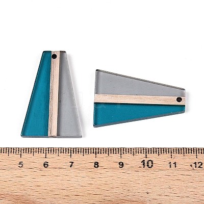 Transparent Resin & Wood Pendants RESI-T057-61A-1