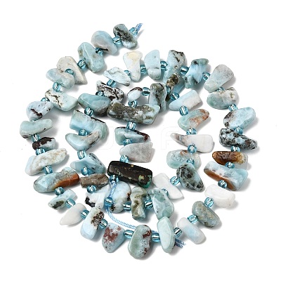 Natural Larimar Beads Strands G-L649-A07-01-1