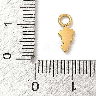 Ion Plating(IP) 304 Stainless Steel Enamel Charms STAS-G351-06G-1