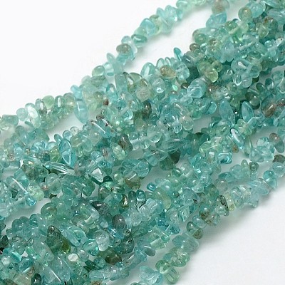 Natural Apatite Chip Beads Strands G-L154-23-1