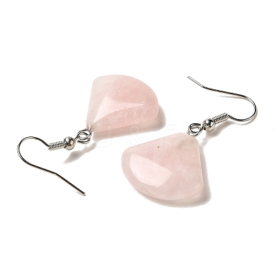 Natural Mixed Gemstone Fan Dangle Earrings EJEW-E296-03P-1
