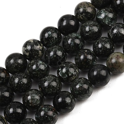 Natural Seraphinite Beads Strands G-H337-A03-05-1