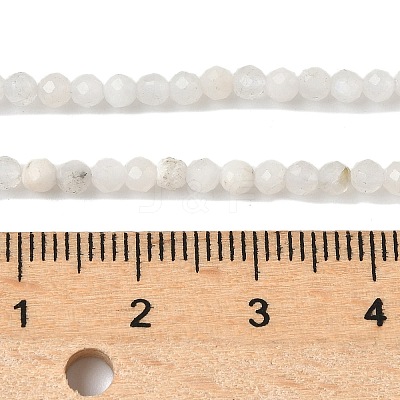 Natural Moonstone Beads Strands G-C201-B06-3mm-1
