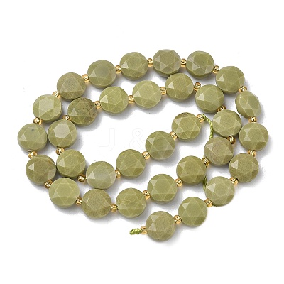 Natural Alashan Agate Beads Strands G-C116-A189-01-1