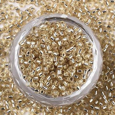 Glass Seed Beads X1-SEED-S042-04A-05-1