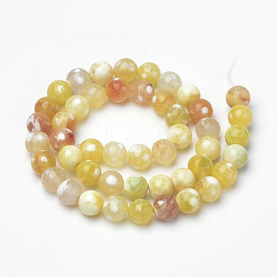 Dyed Natural Fire Crackle Agate Beads Strands X-G-Q462-127D-8mm-1