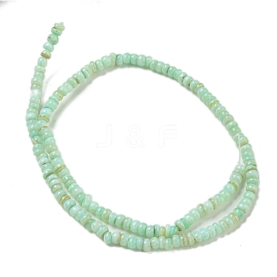 Dyed Natural Freshwater Shell Beads Strands BSHE-G039-07E-1