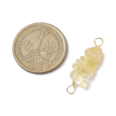 10Pcs 5 Styles Constellation Natural Garnet & Rose Quartz & Tiger Eye & Amethyst & Strawberry Quartz Copper Wire Wrapped Chip Beaded Connector Charms PALLOY-JF02905-11-1