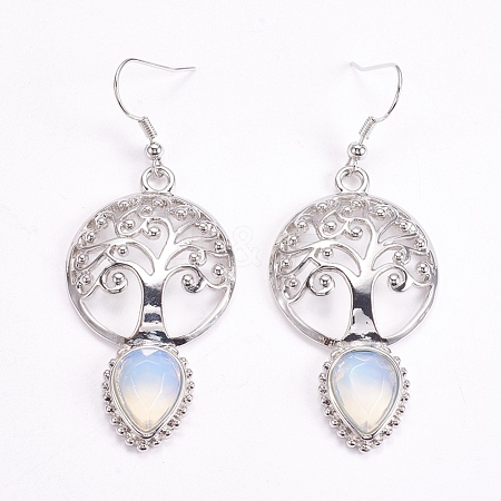 Brass Dangle Earrings EJEW-G240-B02-1