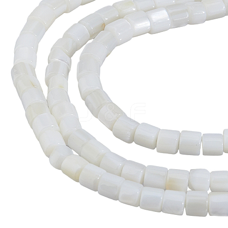 3 Strands Natural Freshwater Shell Beads Strands SHEL-HS0001-16-1
