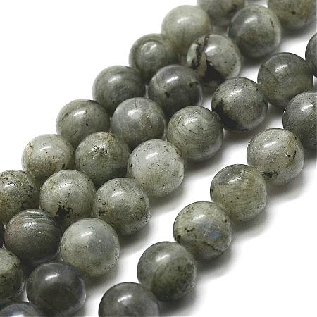 Natural Labradorite Bead Strands G-P256-01-10mm-1