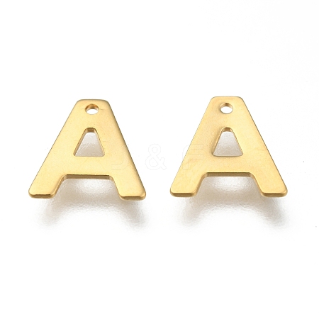 304 Stainless Steel Charms LS-X-STAS-P141-A-1