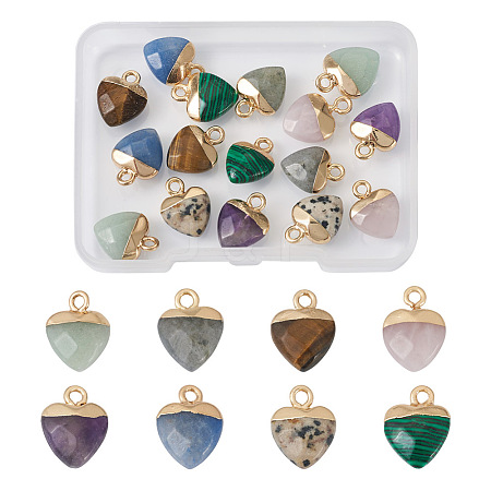 Fashewelry 16Pcs 8 Styles Natural & Synthetic Gemstone Charms G-FW0001-34-1