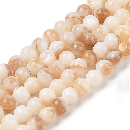 Natural Freshwater Shell Beads Strands SHEL-T011-02-6mm-1