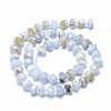 Natural Blue Lace Agate Beads Strands G-F715-032A-2