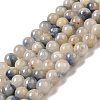 Natural Blue White Dumortierite Round Beads Strands G-E265-01A-2