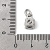 Birthdaystone Theme June 304 Stainless Steel Charms STAS-B128-60P-06-3