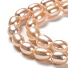 Natural Cultured Freshwater Pearl Beads Strands PEAR-L033-63B-3