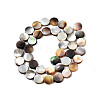 Natural Black Lip Shell Beads Strands SSHEL-N003-151B-2