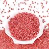 FGB Glass Seed Beads SEED-Q040-08A-08-2