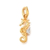 Brass Micro Pave Cubic Zirconia Pendants LS-KK-S517-01B-G-1