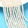 Natural Cultured Freshwater Pearl Beads Strands PEAR-C004-13-1
