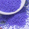 MIYUKI Round Rocailles Beads SEED-G007-RR0483-1