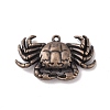 Tibetan style Alloy Pendants FIND-M021-18R-1