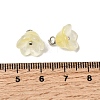 Glass Charms GLAA-G127-03B-3