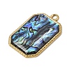 304 Stainless Steel & Natural Paua Shell Pendants SH-CBA7184-01C-G-2