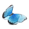 Transparent Resin Cabochons RESI-K031-01B-03-2