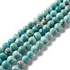 Natural Howlite Beads Strands X-G-L555-02C-02-2