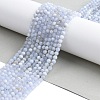 Natural Blue Lace Agate Beads Strands X-G-K366-B02-02-3