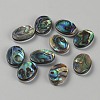 Natural Paua Shell Cabochons FIND-WH0110-867-1