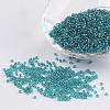 FGB 12/0 Grade A Transparent Silver Lined Round Glass Seed Beads X-SEED-A022-F13-51-1