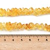 Natural Amber Beads Strands G-K376-C02-01-5