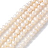 Natural Cultured Freshwater Pearl Beads Strands PEAR-I007-07L-01-2