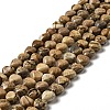 Natural Picture Jasper Beads Strands G-B022-14A-1