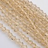 Bicone Glass Beads Strands EGLA-P016-4mm-12-1