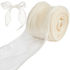 Polyester Organza Ribbons SRIB-WH20020-003B-01-1